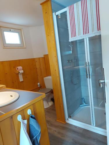 une salle de bain avec douche et lavabo dans l'établissement La petite maison Gîte 2 étoiles, à La Bresse