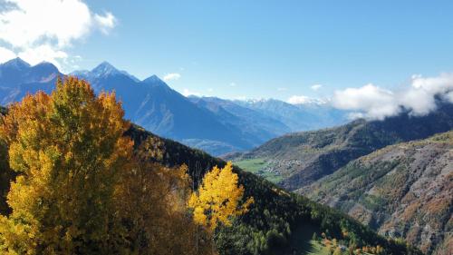 a view of a mountain valley with a tree at Baita La Pesse - Ad un passo dalle stelle in Nus