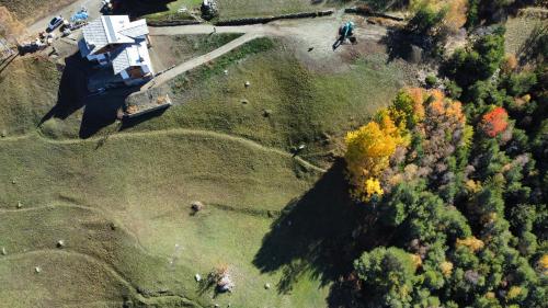 an overhead view of a house with a tree at Baita La Pesse - Ad un passo dalle stelle in Nus