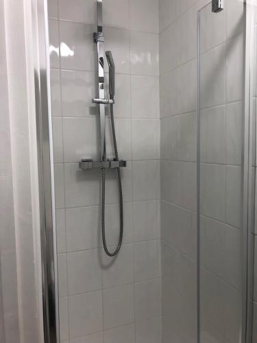 a shower with a shower head in a bathroom at Ashbrook Harwell 18 in Didcot