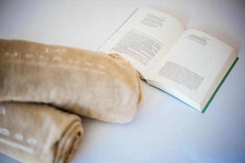 a book and a hot dog sitting next to a book at MelRose Relais in Massa Lubrense