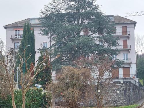 un gran árbol frente a un edificio en Le Mirabeau Vue Lac, en Évian-les-Bains