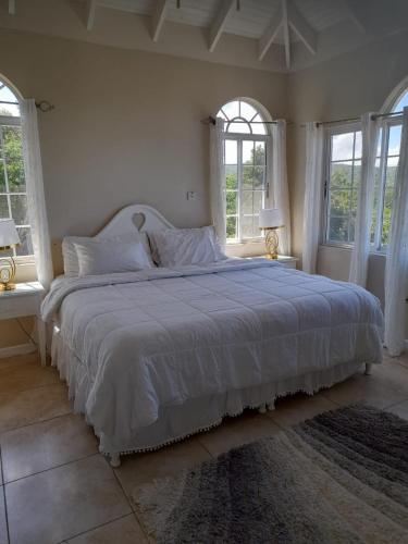 a bedroom with a large white bed with windows at Retreat Guest House in Falmouth