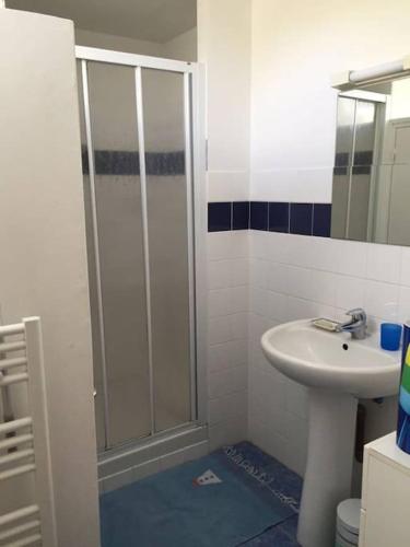une salle de bain avec douche et lavabo dans l'établissement Meublé sur l'ILE DE TASCON à 300 m de la plage, à Saint-Armel