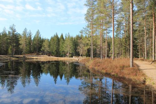 a pond in a forest with trees in the background at Fårgården Åsebol in Gårdsjö