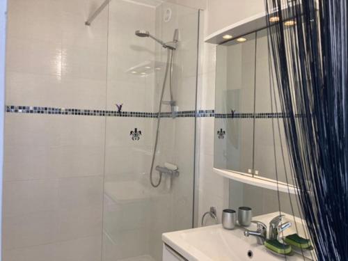 une salle de bain avec douche et lavabo dans l'établissement Studio 2, Héliopolis D au village naturiste, au Cap d'Agde