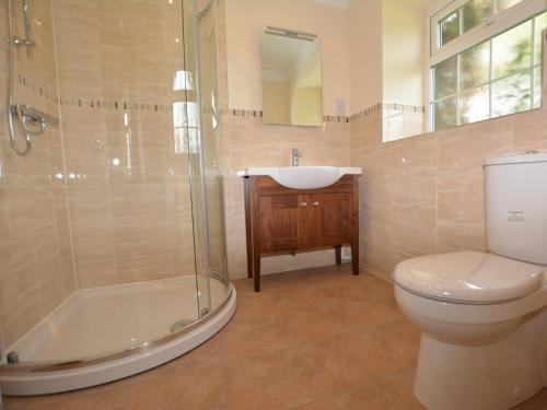 La salle de bains est pourvue de toilettes, d'un lavabo et d'une douche. dans l'établissement 3 Bed in Llangollen 39974, à Overton
