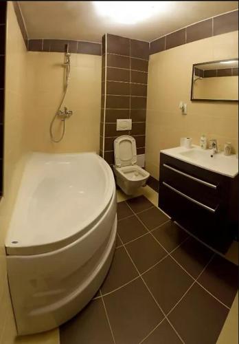 a bathroom with a toilet and a sink at Pilvax Apartment in Braşov