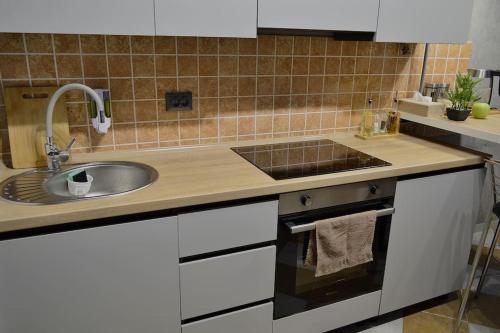 a kitchen with a sink and a counter top at Потрясающий уголок в сердце Кишинёва in Chişinău