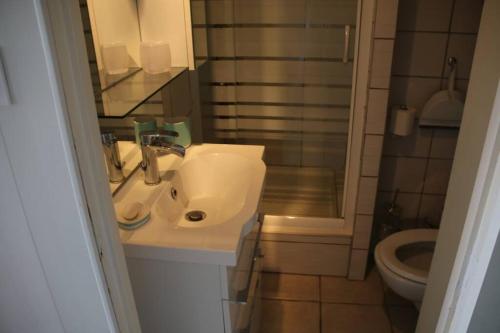 une salle de bain avec un lavabo, une douche et des toilettes dans l'établissement Studio 17, Héliopolis L au village naturiste, au Cap d'Agde