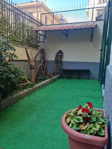 a patio with green grass and a pot of flowers at La Casetta di Oppi in Naples