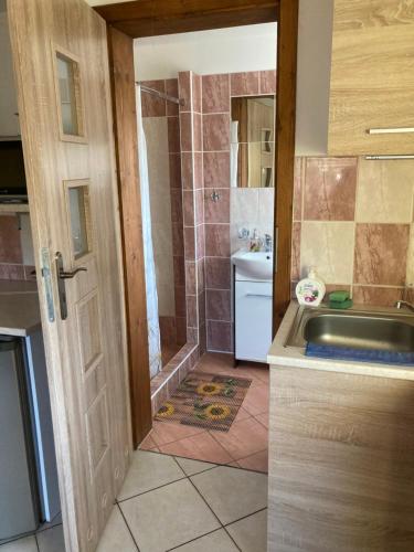 a bathroom with a shower and a sink and a door at Ubytování Pohoda in Šumperk