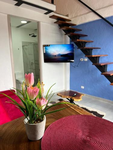 apartaestudio salento 6にあるテレビまたはエンターテインメントセンター