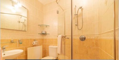 uma casa de banho com um chuveiro, um WC e um lavatório. em Corthna Lodge em Schull