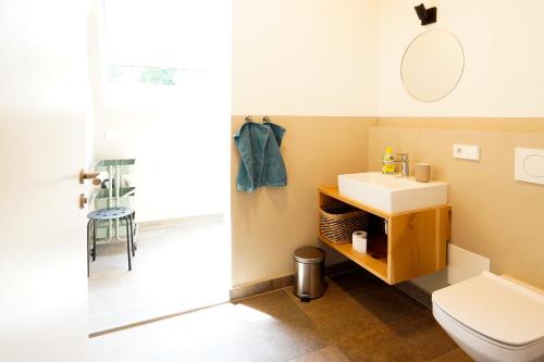 a bathroom with a toilet and a sink at Wendlingen Ferienwohnung 3 in Freiburg im Breisgau