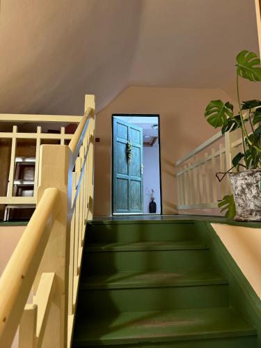 a green staircase with a door and a potted plant at Prvorepublikový dům se zahradou in Podivín