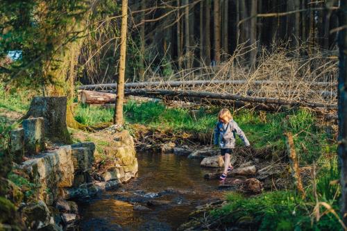 una joven cruzando un arroyo en un bosque en Camping Braunlage en Braunlage