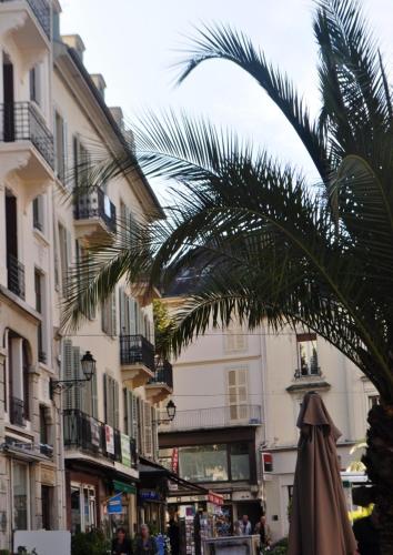 un palmier et un parasol dans une rue dans l'établissement SEJOURAIXLESBAINS-Epicurieux, à Aix-les-Bains