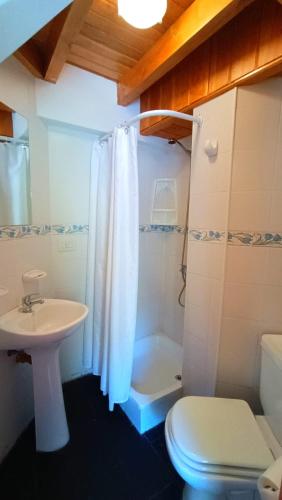 a bathroom with a sink and a toilet and a shower at Apart Hotel del Pellin in San Martín de los Andes