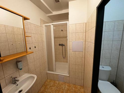 ein Bad mit einer Dusche, einem Waschbecken und einem WC in der Unterkunft D8 APARTMÁNY in Ústí nad Labem