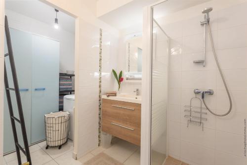 ein Bad mit einer Dusche und einem Waschbecken in der Unterkunft Appartement d'une chambre avec vue sur la mer terrasse et wifi a Fort de France in Fort-de-France