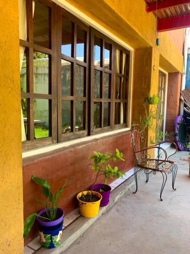 Μπαλκόνι ή βεράντα στο La Casa del Árbol Chacras de Coria