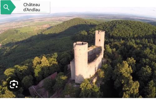 an aerial view of a castle in the forest at Mobil home 5 pers proche d'Europa Park E020 in Boofzheim