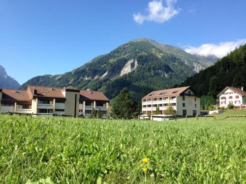 a field of grass with houses in front of a mountain at Quadern Apartmenthaus B204 in Bad Ragaz