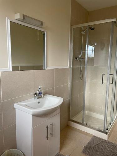 La salle de bains est pourvue d'un lavabo et d'une douche. dans l'établissement Hillside House - Rose Cottage, à Ballinamuck