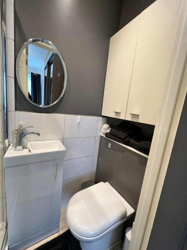 un piccolo bagno con servizi igienici e specchio di Cosy Studio Flat a Hither Green