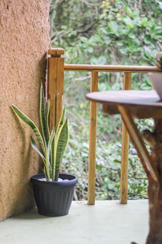 a plant in a black pot sitting on a balcony at Seasons Four Mini Jungle Cabana in Matara