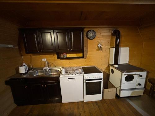 Šavnik的住宿－Apartman Kurjak，一间带水槽和冰箱的小厨房