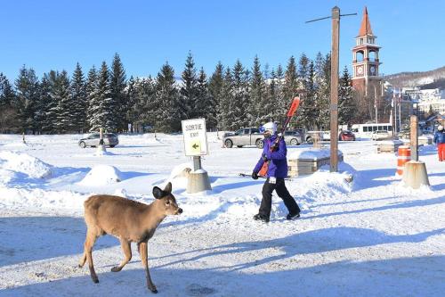 a woman walking in the snow with a deer at Huge condo in front of Tremblant ski resort in Mont-Tremblant