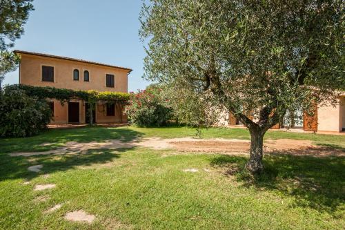 a tree in the yard of a house at Tenuta Agricola dell'Uccellina in Talamone