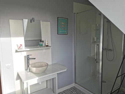 La salle de bains est pourvue d'un lavabo et d'une douche. dans l'établissement Plage du Pont - Chambres d'Hôtes, à Saint-Malo