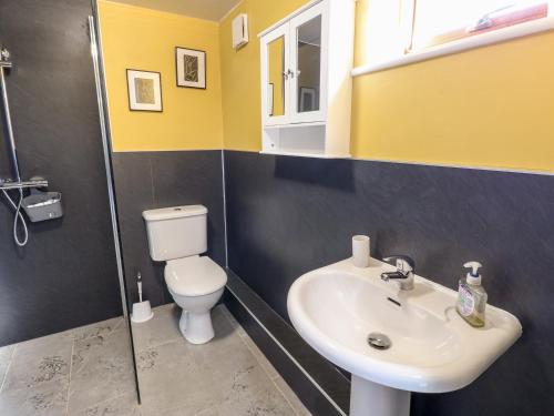 a bathroom with a white toilet and a sink at Ivy Cottage in Richmond