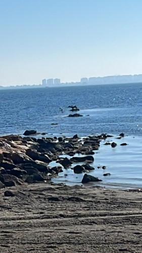 a group of rocks in the water on a beach at Casa Riad Amor Marrakech en Lo Pagan in San Pedro del Pinatar