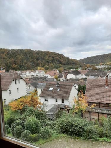 uma vista a partir de uma janela de uma cidade com casas em Art-Apartment III em Bad Karlshafen