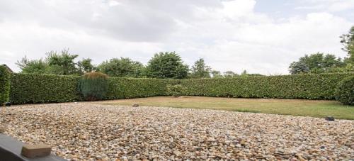 a garden with a hedge and a gravel driveway at Ferienwohnung im Wurmtal 100 qm in Geilenkirchen