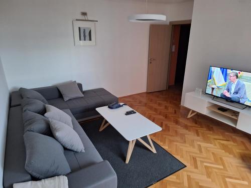 a living room with a gray couch and a tv at Temple saint sava in Dušanovac (historical)