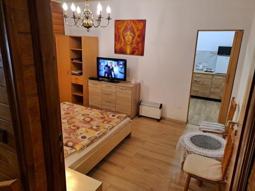 KwatoniówにあるMarysieńkaのベッド1台、テレビが備わる小さな客室です。