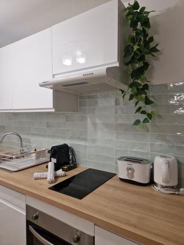 une cuisine avec des armoires blanches et un comptoir dans l'établissement Studio cosy près de la Croisette, à Cannes