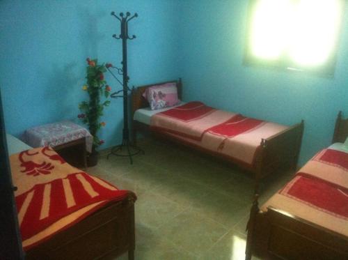 two beds in a room with blue walls at Bob Marley House Sherief Hotel Luxor in Luxor