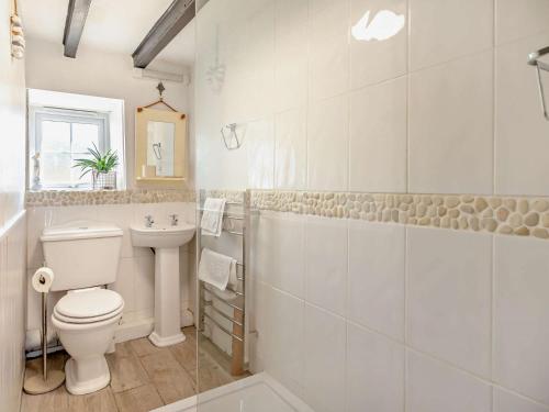 a bathroom with a toilet and a shower and a sink at 2 bed in Brixham BX020 in Brixham