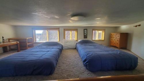 1 dormitorio con 2 camas azules grandes en Ocean Front Cabin 1 With Jacuzzi & Amazing Views, en Smith River