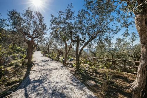 a dirt road with trees and a fence at MelRose Relais in Massa Lubrense
