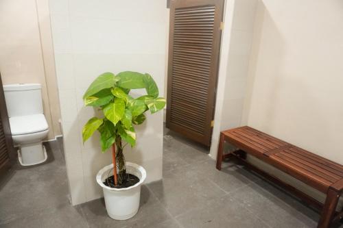 a bathroom with a toilet and a potted plant at Spacious Spanish-Style Resort in Pansol Laguna in Calamba