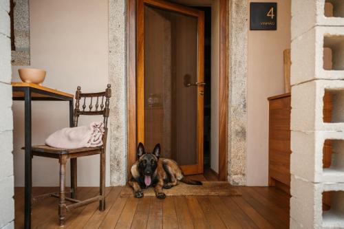 a dog laying on the floor in front of a door at Vinha by NHôme in Ponte de Lima