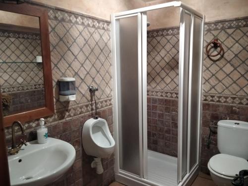 Pina de Montolgrao的住宿－Casa la Cisterna，带淋浴、卫生间和盥洗盆的浴室