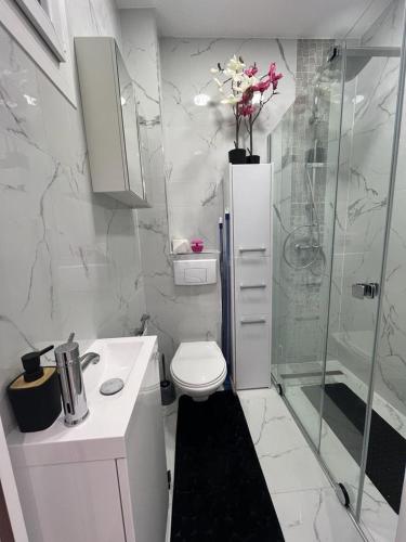 a white bathroom with a toilet and a shower at Appartement T2 in Nice